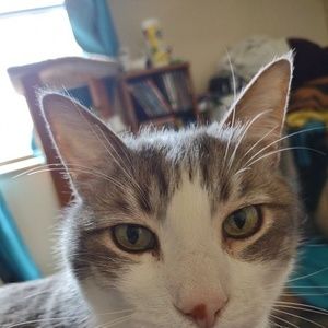 Meet your Posher, Clara